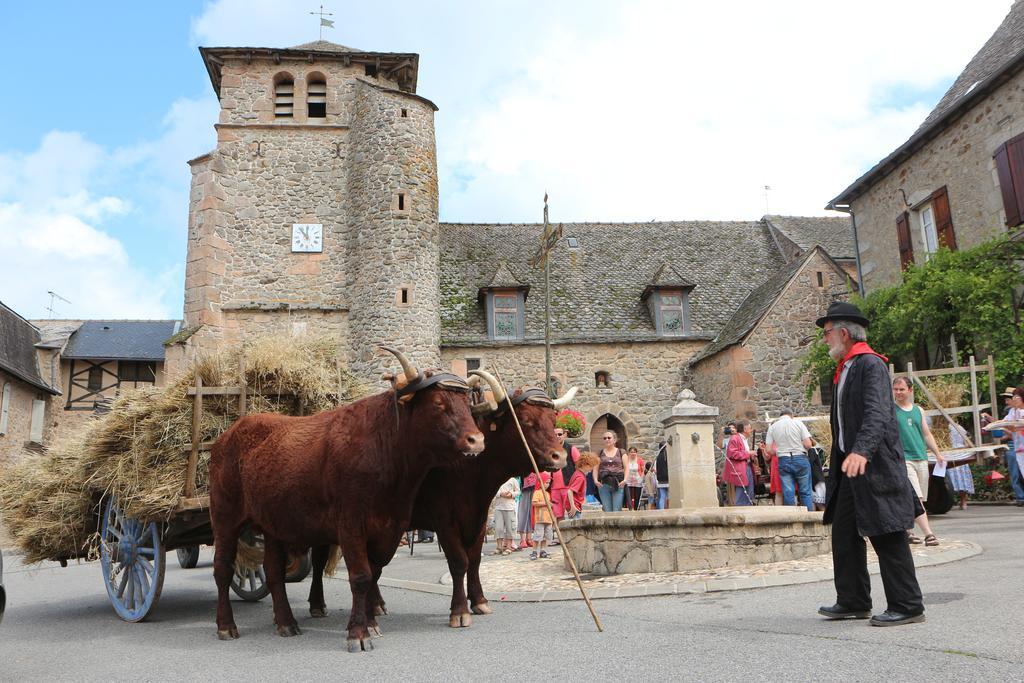 Chambres D'Hotes Du Presbytere La Bastide-l'Eveque المظهر الخارجي الصورة